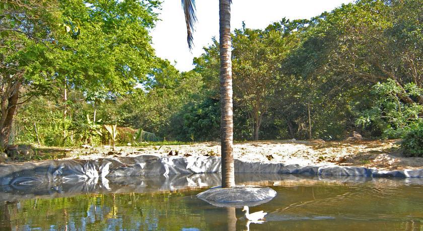 Villa Azalea Inn & Organic Farm JALISCO Exterior photo